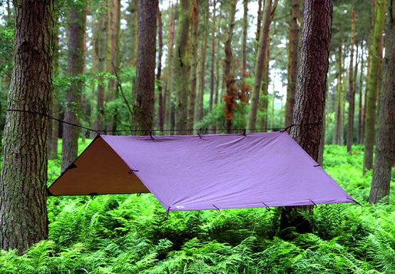 tarp in the rainforest